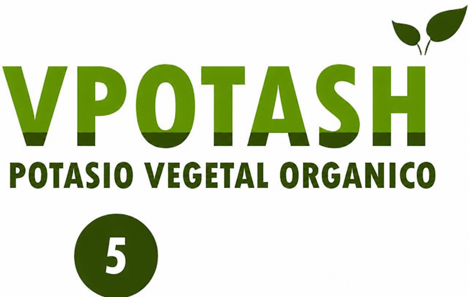 Identidad oficial VPotash 5 CHAMAE